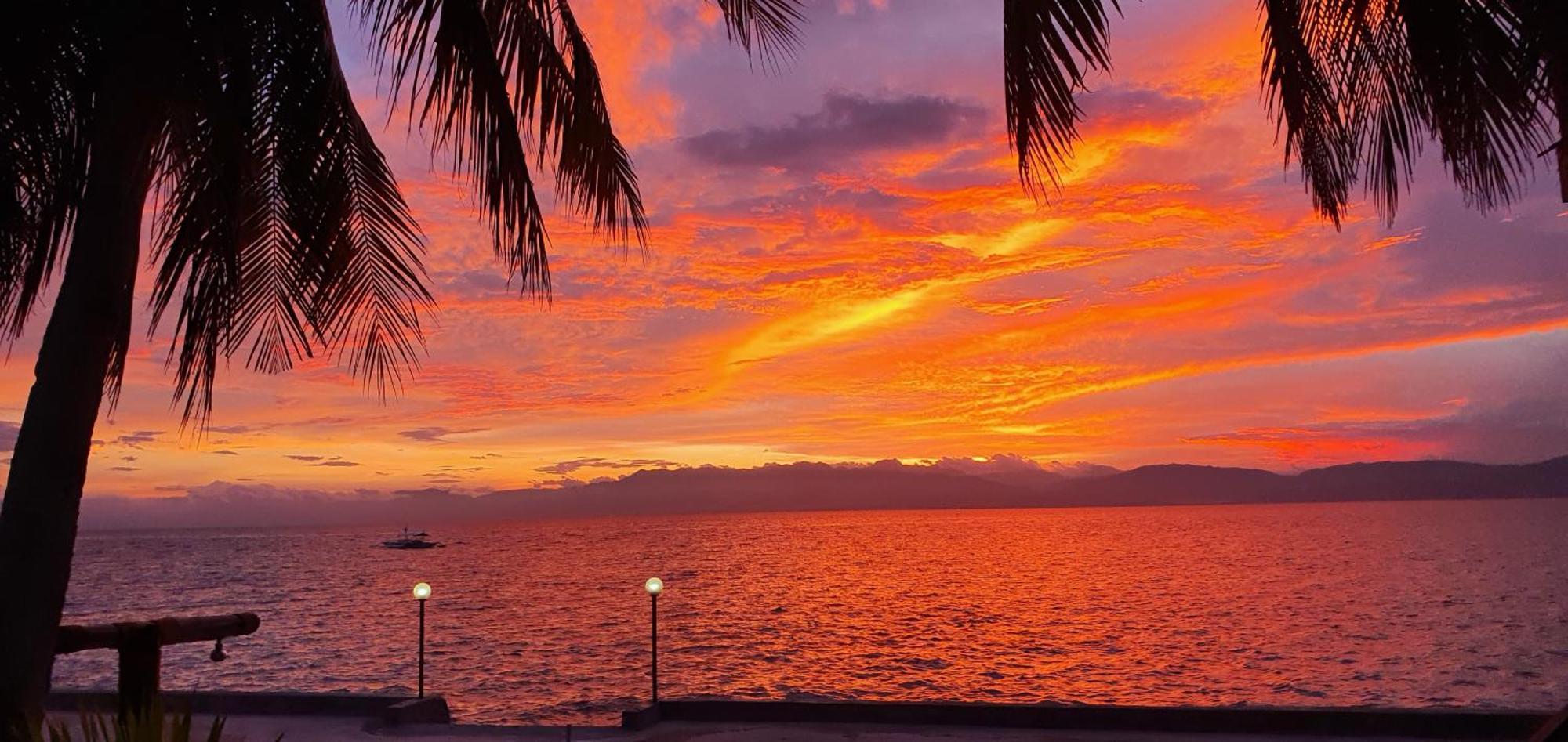 Tauig Beach Resort Moalboal Rum bild